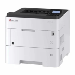 51mNXiRr02L._SL1200_